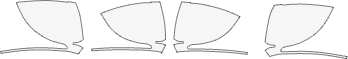 VOLKSWAGEN-ID.7-SALOON