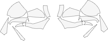 KOENIGSEGG-CC850-TARGA