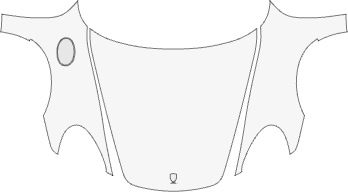 PORSCHE-CAYMAN-COUPE